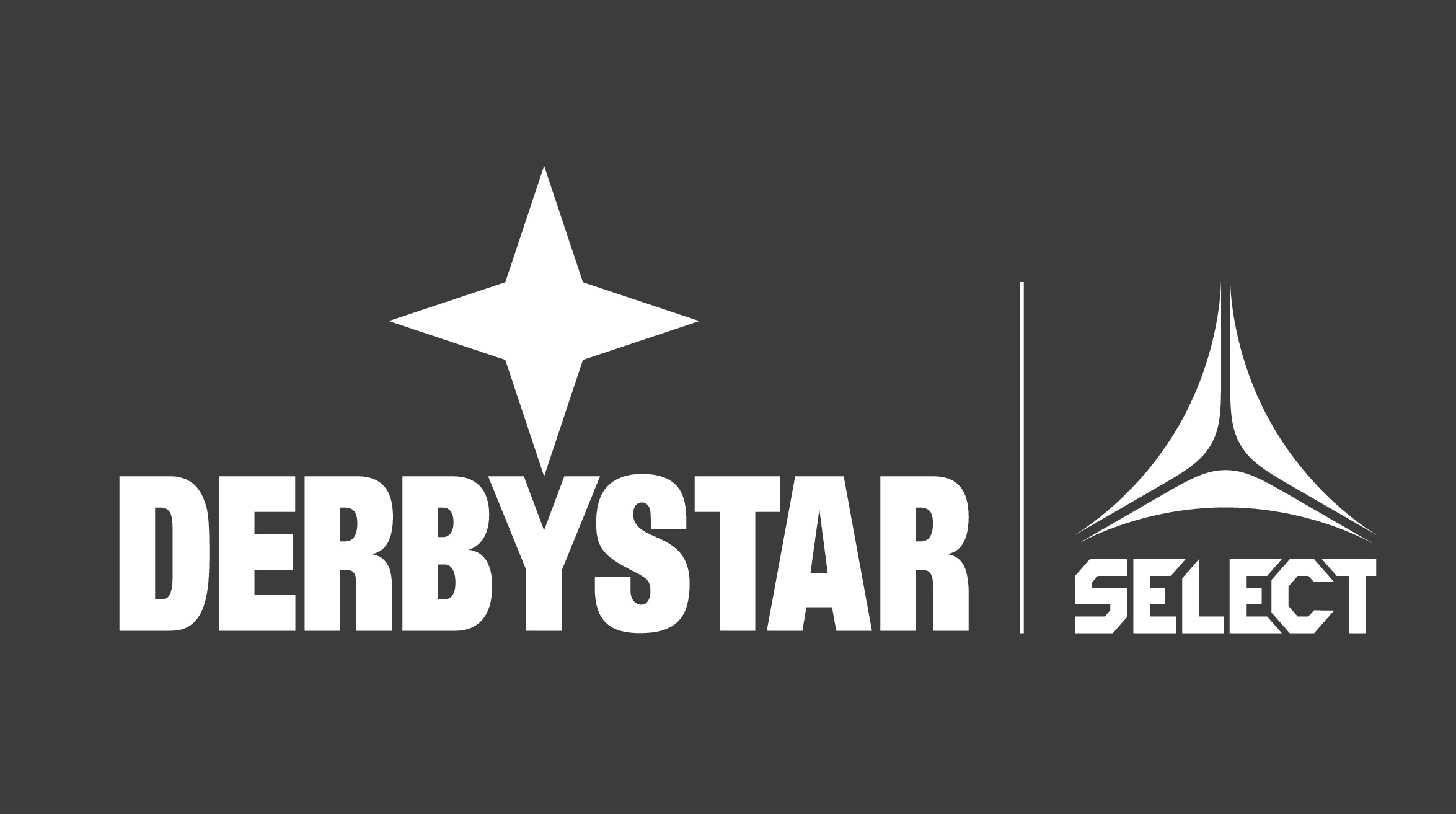 derbystar select logo weiss